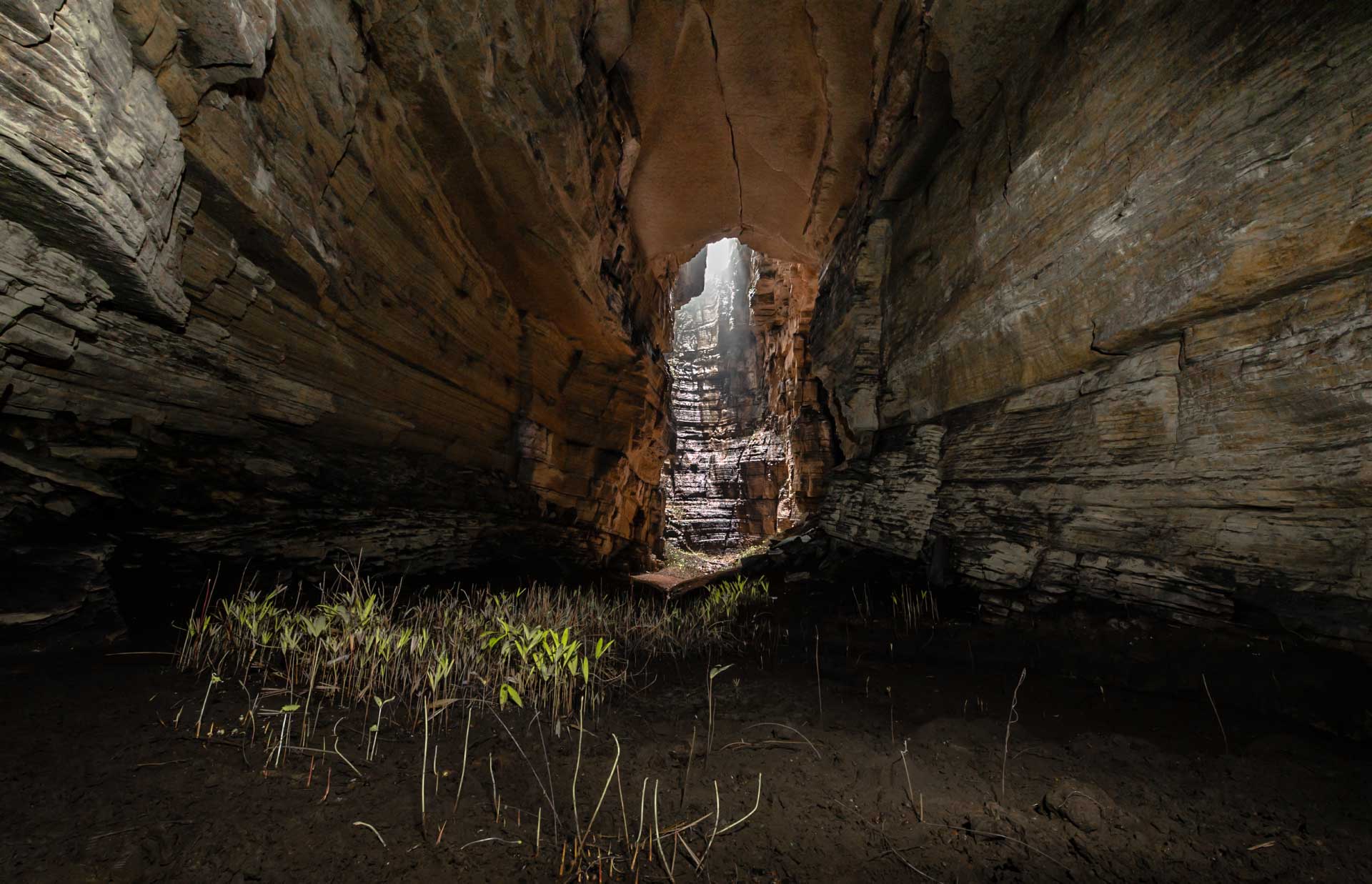 Tragaluz conocido como Daylight. La única entrada de luz directa a la cueva. Foto: Rubén Jarrín/ ComCienCia 