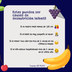 Desnutricion infantil ecuador