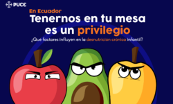 Desnutrición infantil: ¿comer bien es un privilegio en Ecuador?